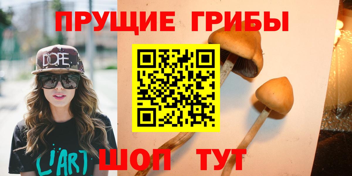 Галлюциногенные грибы Psilocybine cubensis Подольск